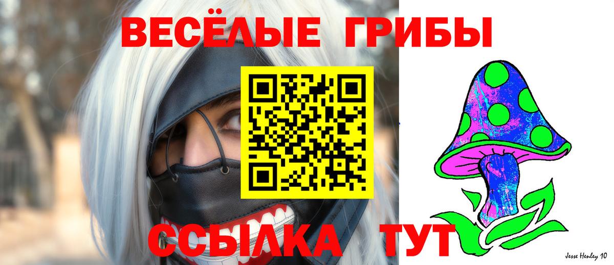 Псилоцибиновые грибы Psilocybe Кулебаки